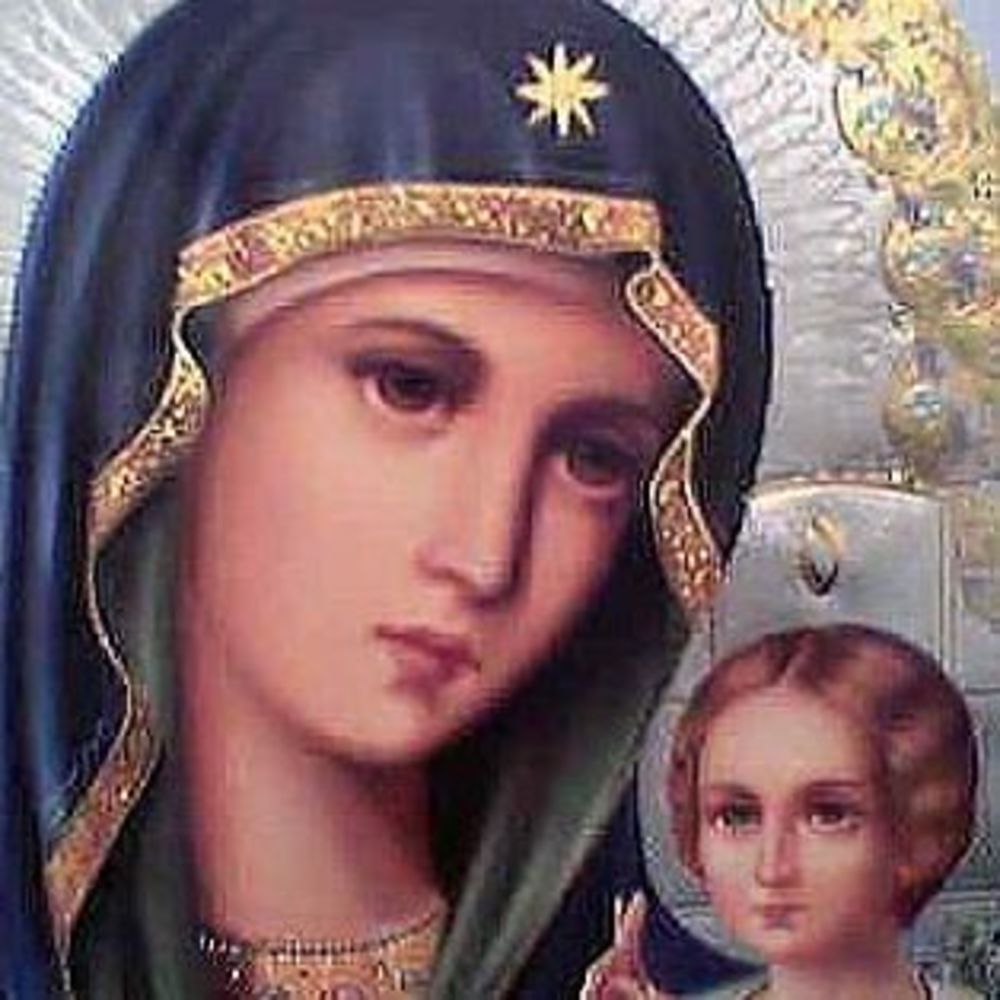 Meet your Posher, Yelena